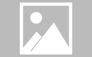 郴州网页设计英文默认字体（网页设置英文转换中文）